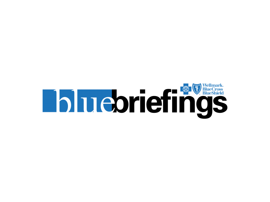 Blue Briefings   Logo
