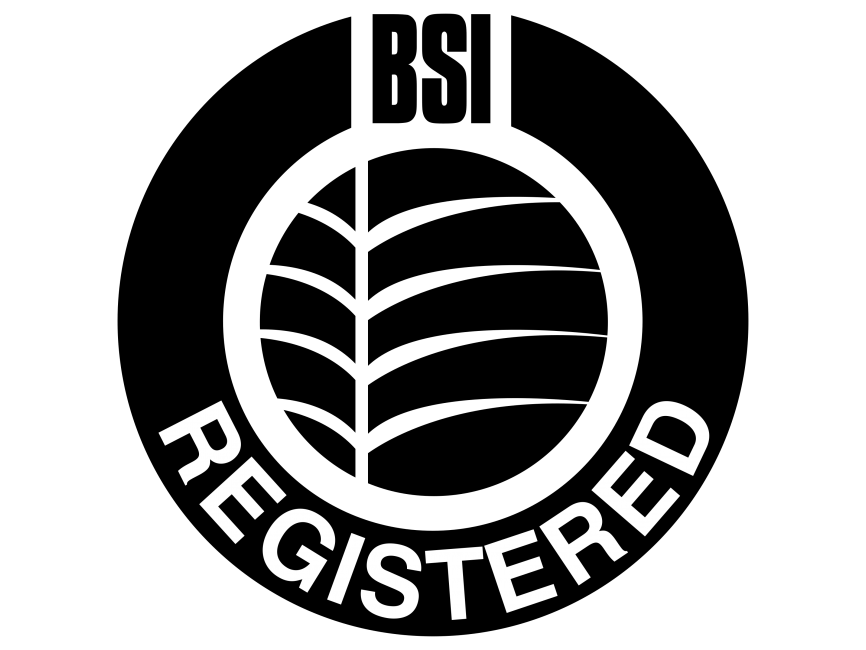 BSI   Logo