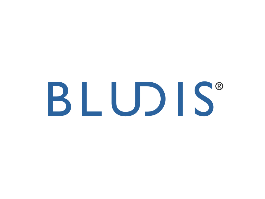 Bludis Logo