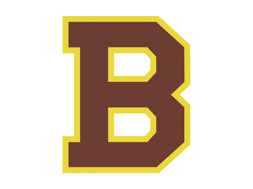 Boston Bruins Logo