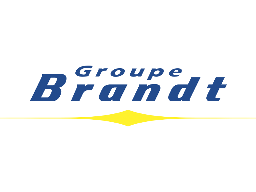 Brandt Group Logo