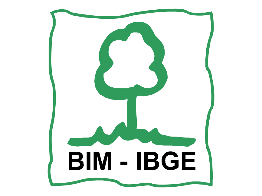 BIM IBGE   Logo