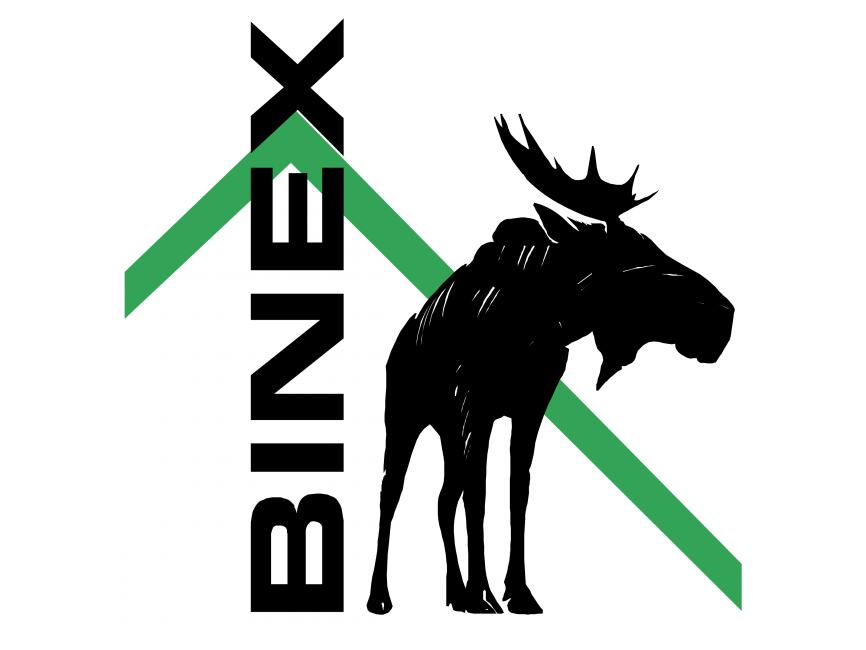 Binex Logo
