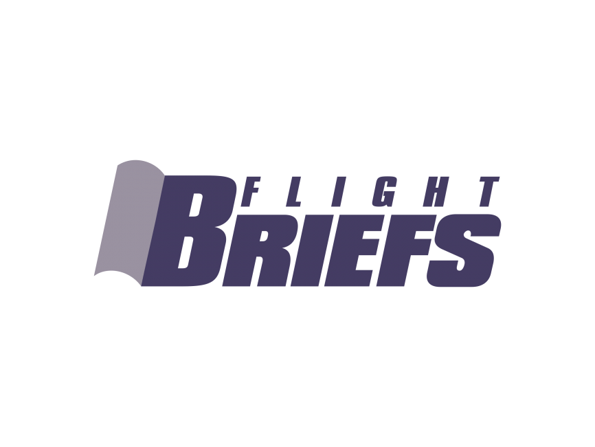 Briefs Flight Logo