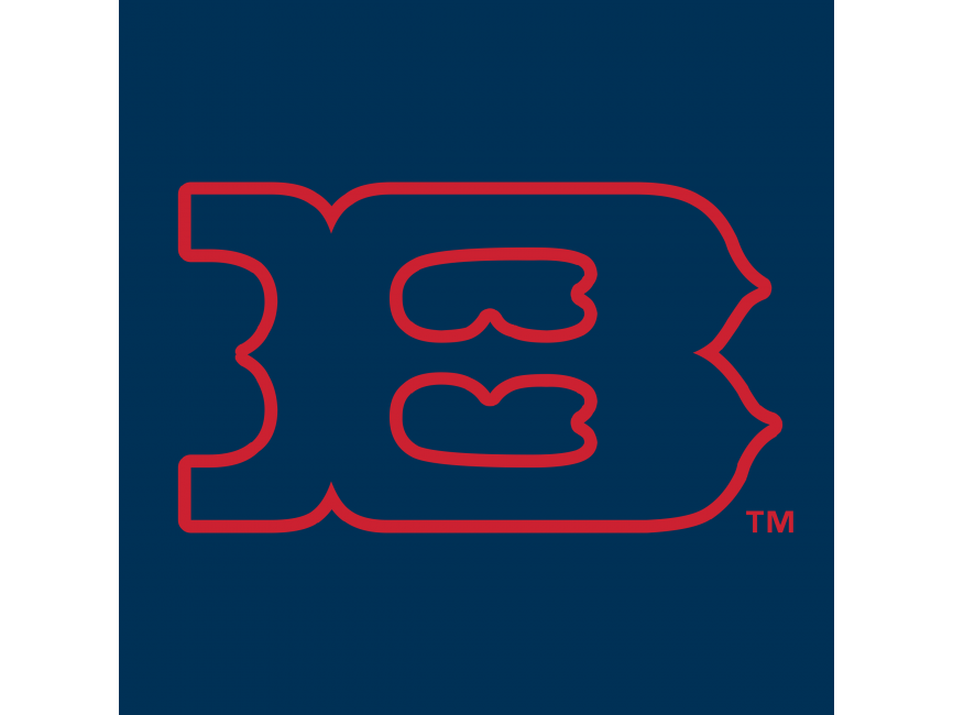 Boise Hawks   Logo