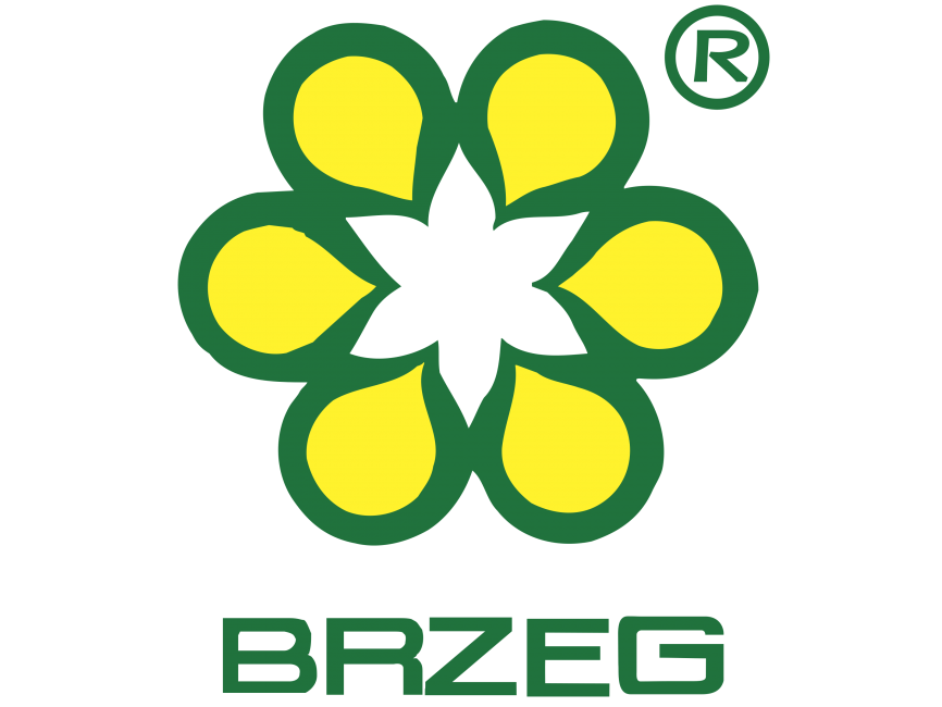 Brzeg 6149 Logo