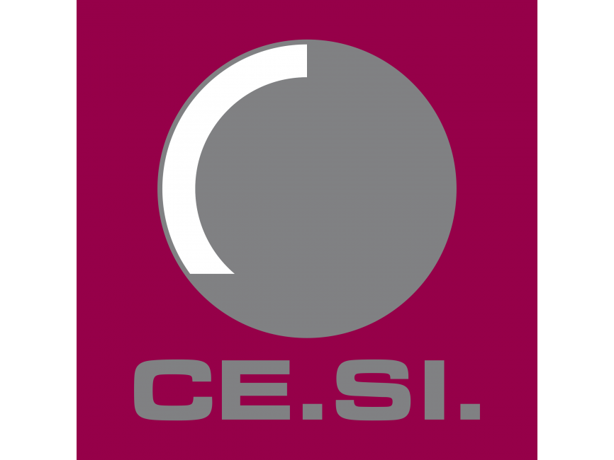 CE SI Logo