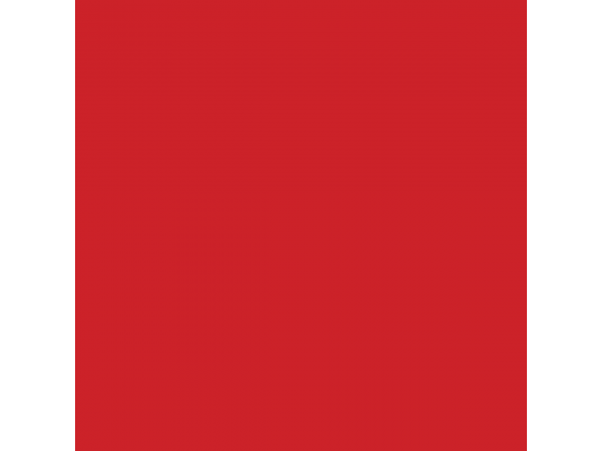 AEES Logo
