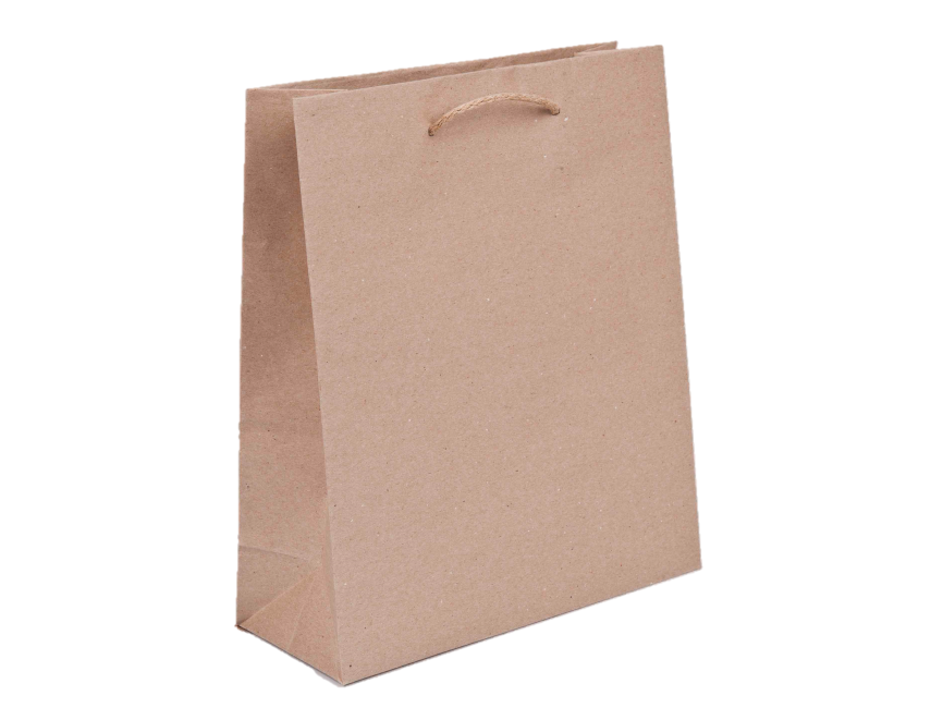 Paper Bag