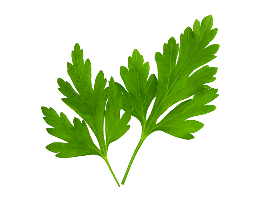 Parsley