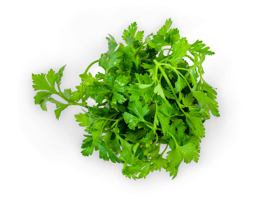 Parsley