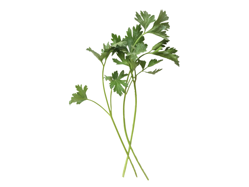 Parsley