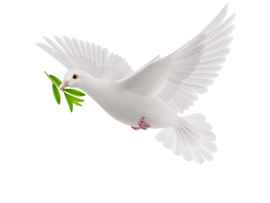 Peace Dove