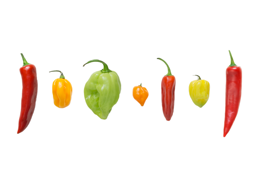 Peppers