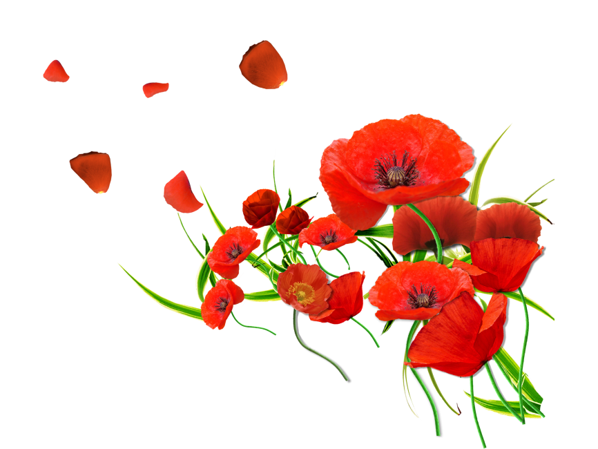 Poppy