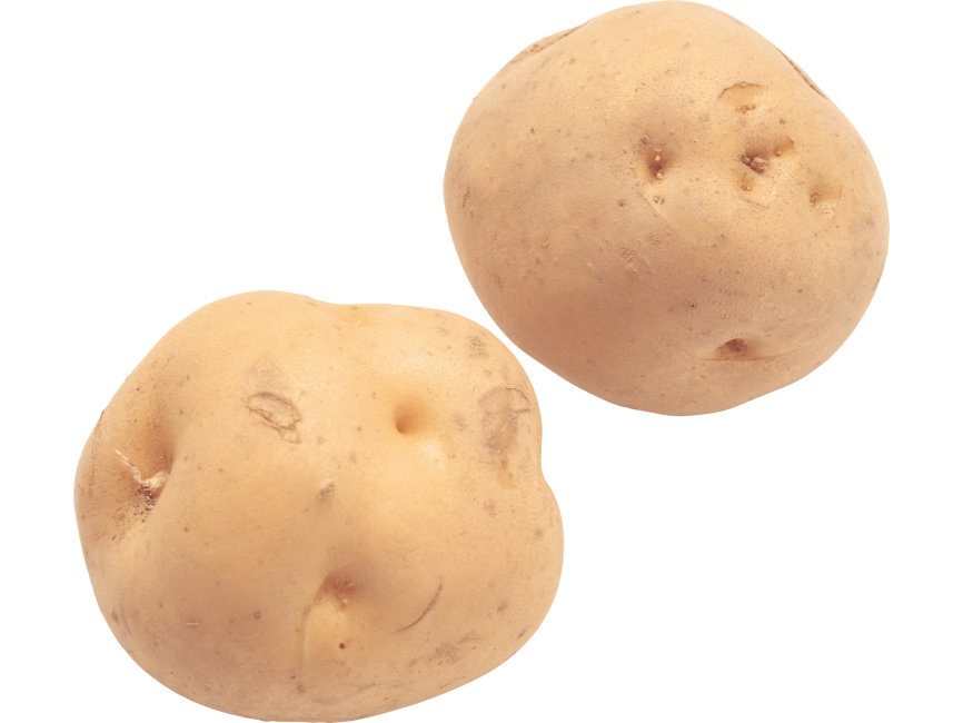 Potato