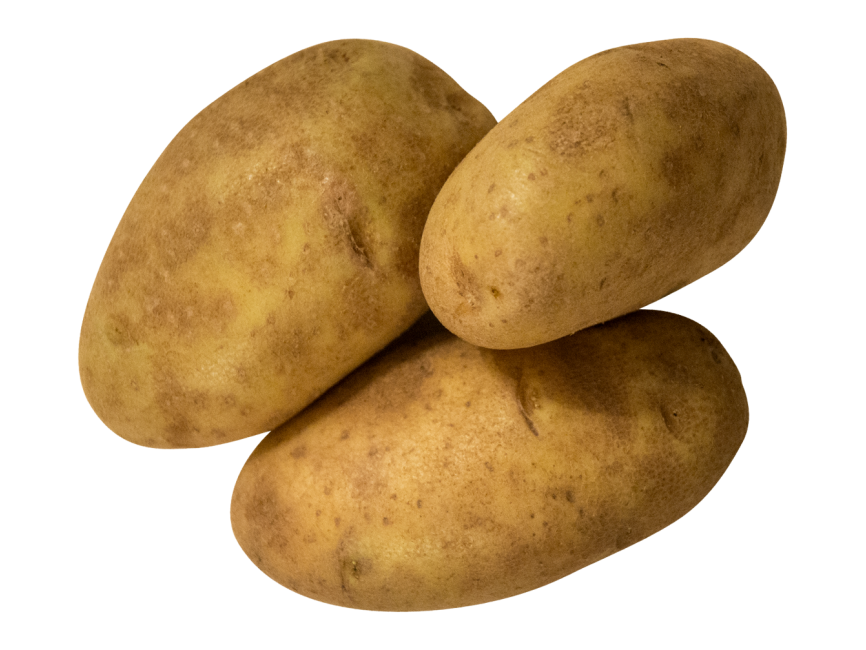 Potato