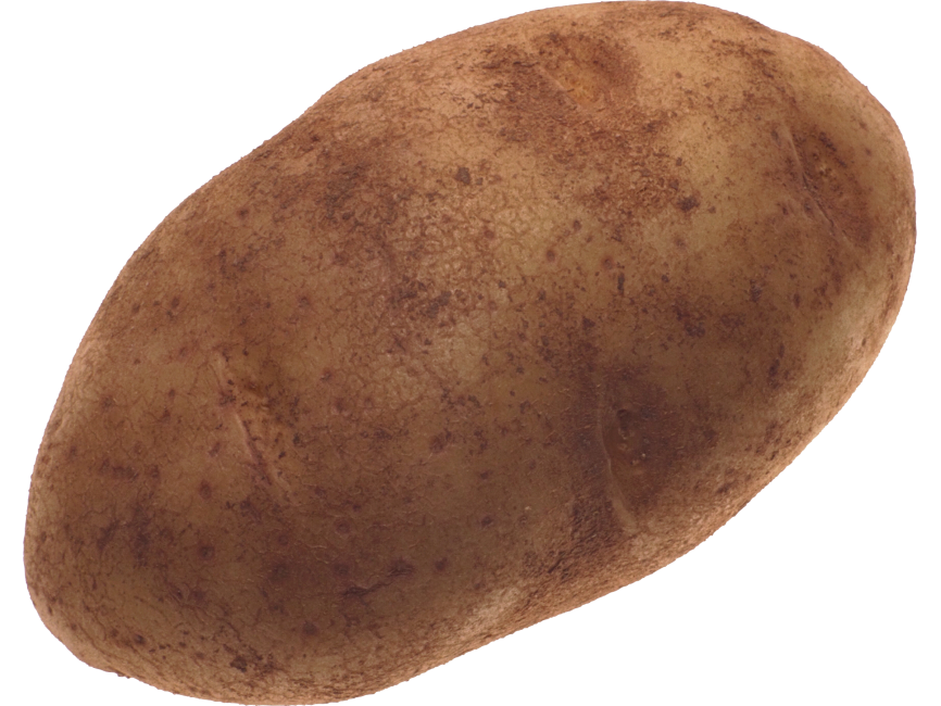 Potato
