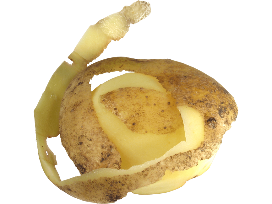 Potato