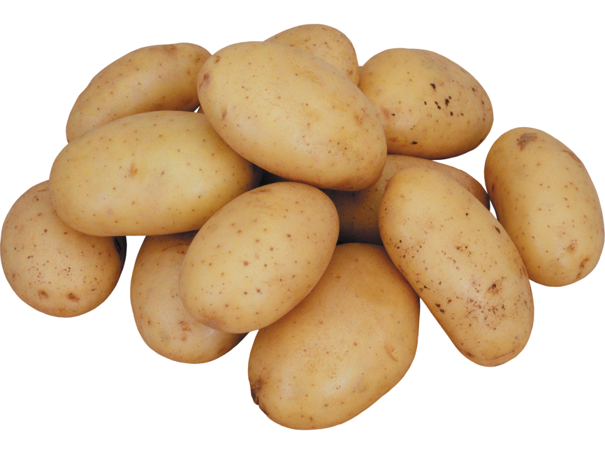 Potato