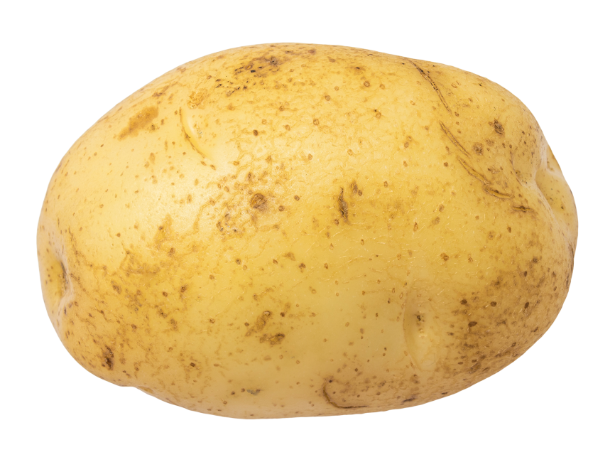 Potato