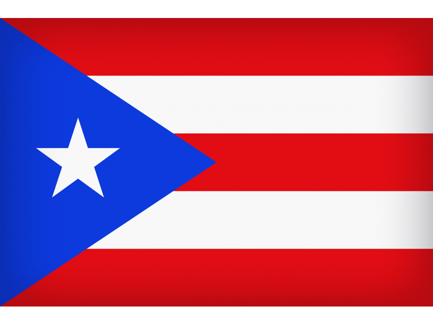 Puerto Rico Large Flag