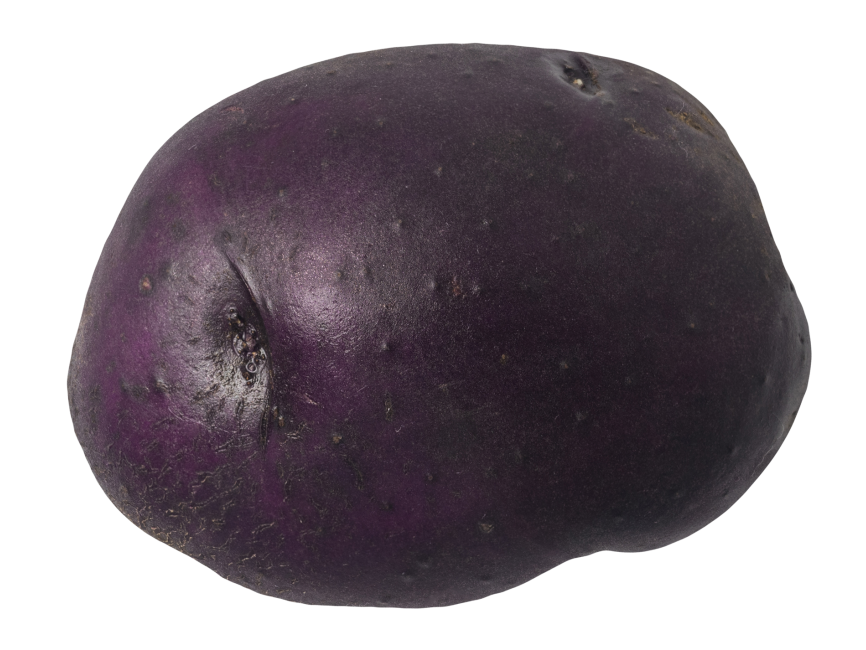 Purple Potato