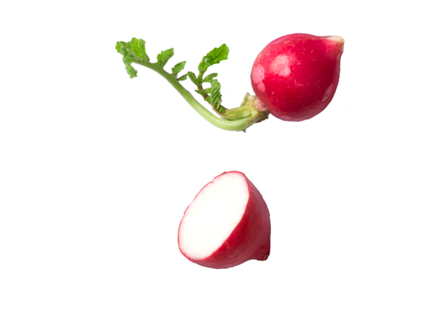 Radish