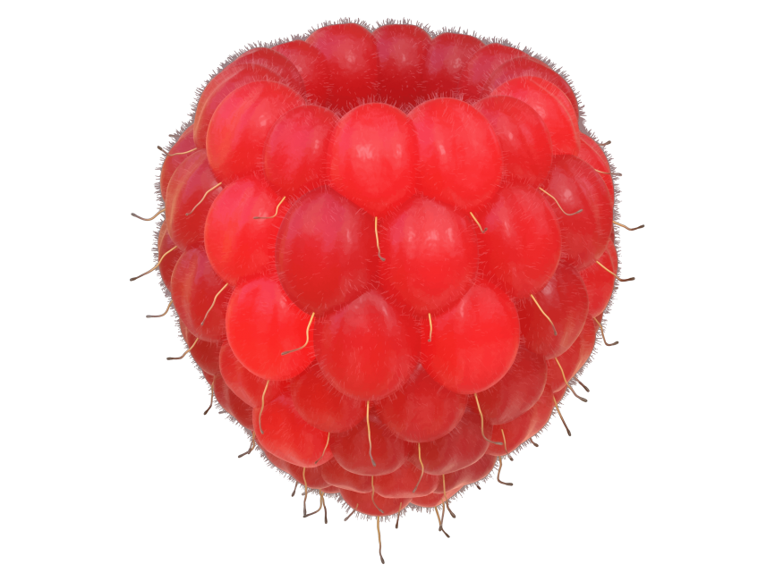 Raspberries