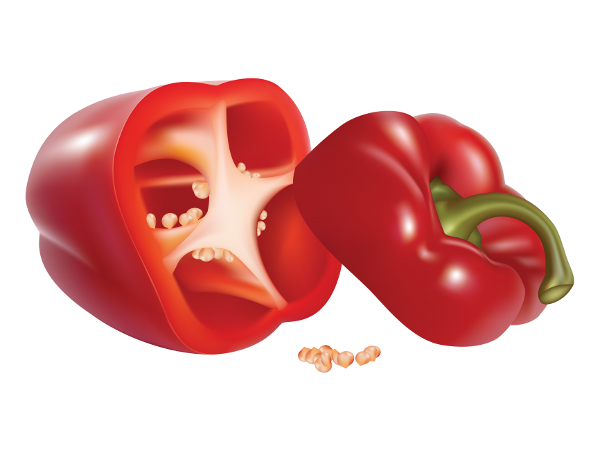 Red Pepper