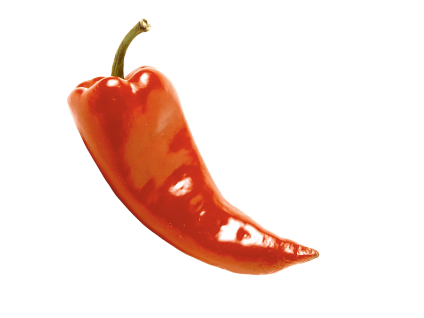Red Pepper