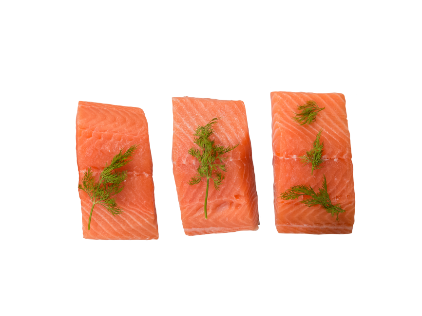 Salmon Fish