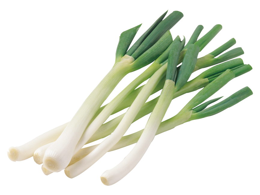 Scallion