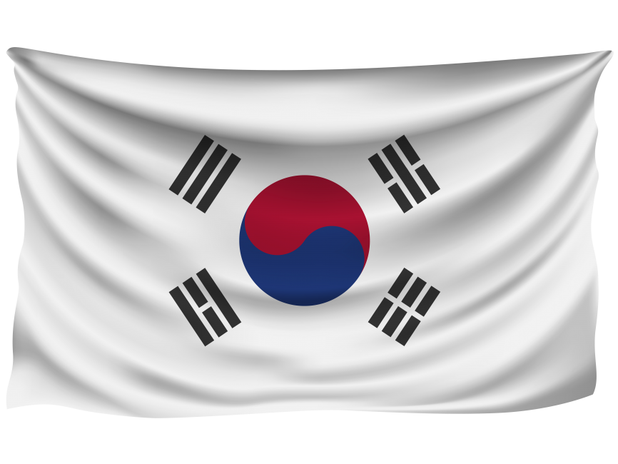 South Korea Wrinkled Flag