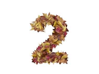 2 Number with Dry Leaves
