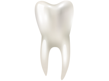 3D Tooth