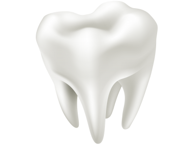 3D Tooth