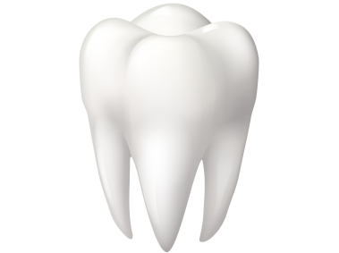 3D Tooth