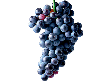 Grapes