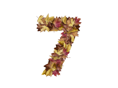 7 Number with Dry Leaves