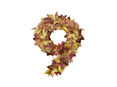 9 Number with Dry Leaves