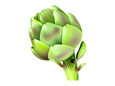 Artichoke