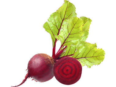 Beet