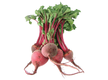 Beet