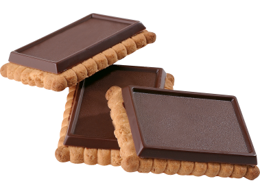 Biscuit