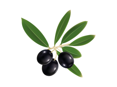 Black Olive