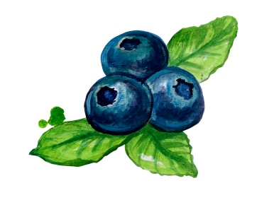 Blueberries