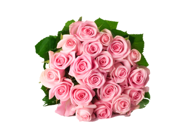 Bouquet of Pink Roses