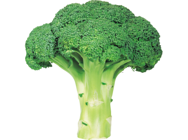 Broccoli