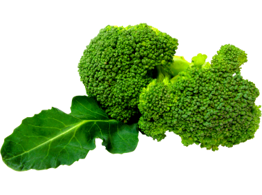 Broccoli